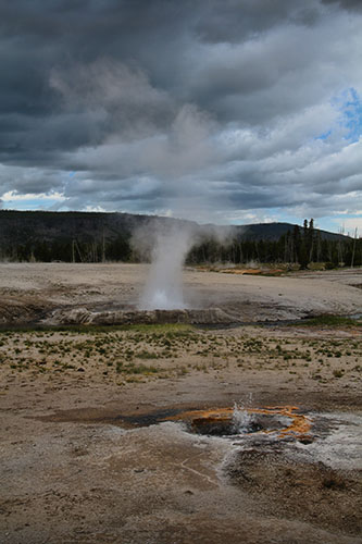 DIA 14: Yellowstone - Grand Teton - Jackson - 18 días por la Costa Oeste de Estados Unidos: un sueño hecho realidad (17)