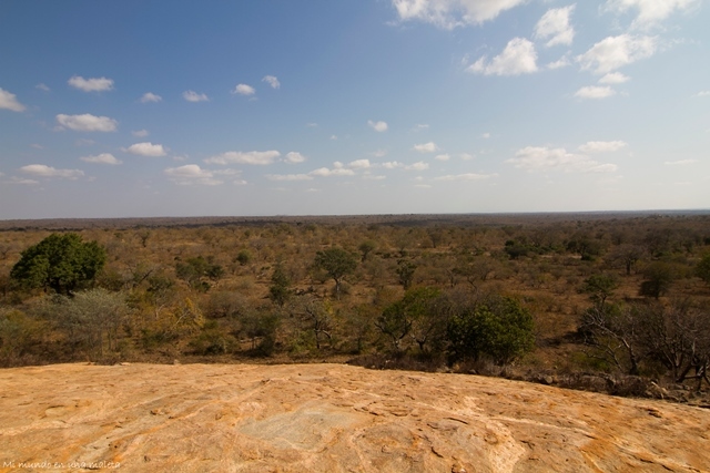 Kruger National Park: de Pretoriuskop a Skukuza - SUDÁFRICA EN EL CORAZÓN (JULIO 2015) (13)