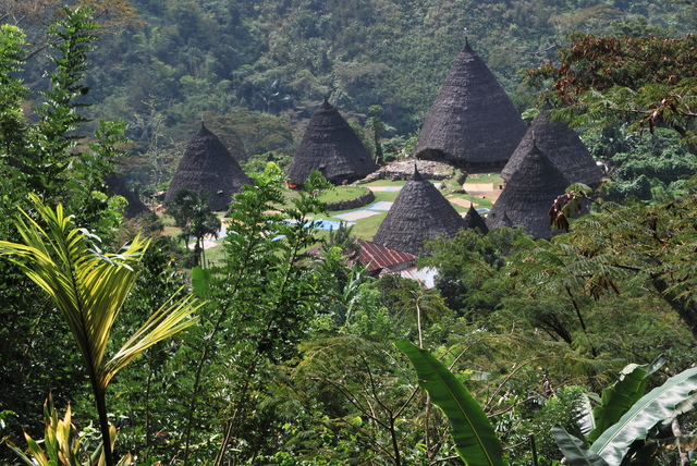 Descubriendo Indonesia en 20 días - Blogs de Indonesia - Flores: El” Jurassic Park” Indonesio (17)
