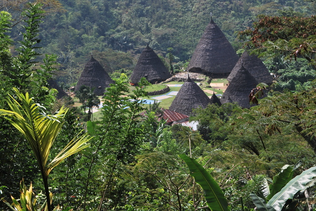 Flores: El” Jurassic Park” Indonesio - Descubriendo Indonesia en 20 días (17)