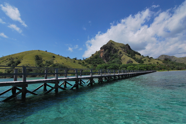 Descubriendo Indonesia en 20 días - Blogs de Indonesia - Flores: El” Jurassic Park” Indonesio (23)