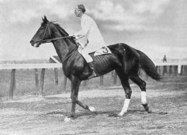 Patton en su caballo durante una carrera de obstáculos en 1914