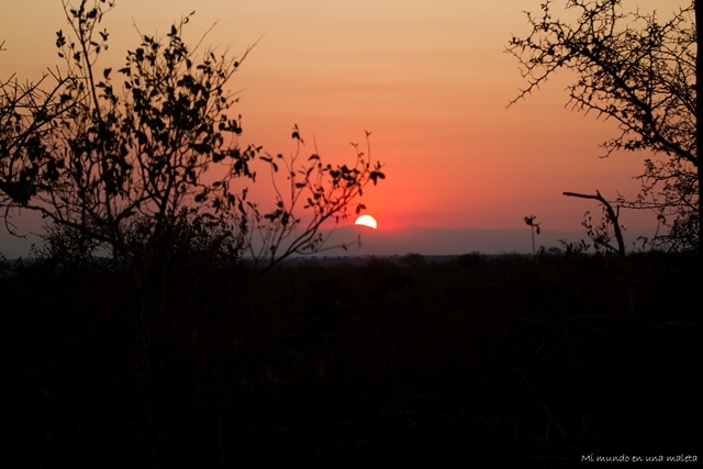 Kruger National Park: de Pretoriuskop a Skukuza - SUDÁFRICA EN EL CORAZÓN (JULIO 2015) (17)