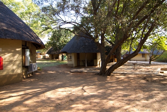 Kruger National Park: de Pretoriuskop a Skukuza - SUDÁFRICA EN EL CORAZÓN (JULIO 2015) (14)