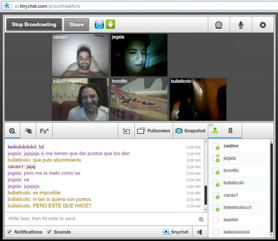 tinychat_pf_12_05_2012_c.jpg