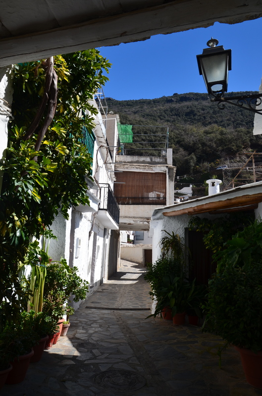 PAMPANEIRA-10-3-2017-GRANADA - Los pueblos más bonitos de España-2010/2023 (50)