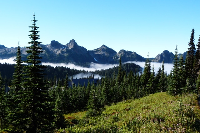 Día 22: Mount Rainier NP - Las maravillas del Noroeste de los Estados Unidos (3)