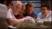 Jurassic Park (1993) DVD9 Copia 1:1 ITA-ENG