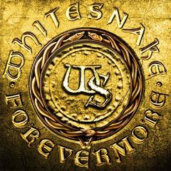 Whitesnake - Forevermore (2011).mp3 - 128 Kbps